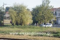 alexandriamou_fotia_240004