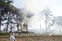 alexandriamou_fotia_240031