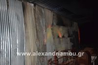 alexandriamou_fotia270019