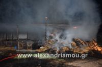 alexandriamou_fotia270023