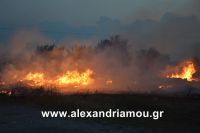 alexandriamou_trikala_foto0001