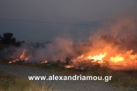 alexandriamou_trikala_foto0002