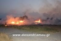 alexandriamou_trikala_foto0003