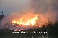 alexandriamou_trikala_foto0005