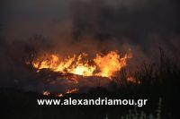 alexandriamou_trikala_foto0007