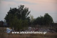 alexandriamou_trikala_foto0008