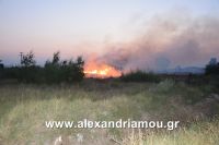 alexandriamou_trikala_foto0009