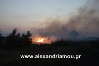 alexandriamou_trikala_foto0010