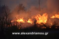 alexandriamou_trikala_foto0011