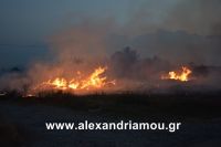 alexandriamou_trikala_foto0013