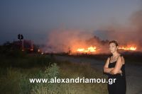 alexandriamou_trikala_foto0018