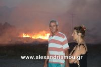 alexandriamou_trikala_foto0020