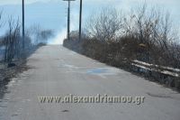 alexandriamou_fotia_ag.kyriaki_egnatia010