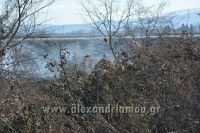 alexandriamou_fotia_ag.kyriaki_egnatia018