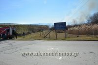 alexandriamou_fotia_ag.kyriaki_egnatia031