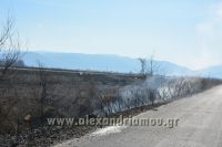 alexandriamou_fotia_ag.kyriaki_egnatia053