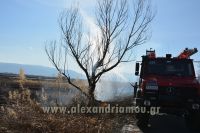 alexandriamou_fotia_ag.kyriaki_egnatia058