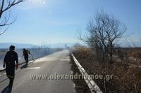 alexandriamou_fotia_ag.kyriaki_egnatia062