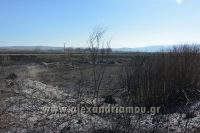 alexandriamou_fotia_ag.kyriaki_egnatia067