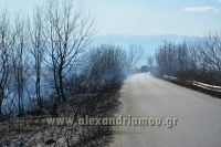 alexandriamou_fotia_ag.kyriaki_egnatia073