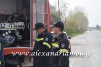 alexandriamou_fotiia_aytokinito022