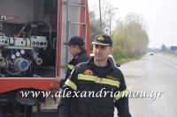 alexandriamou_fotiia_aytokinito023