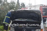 alexandriamou_fotiia_aytokinito028