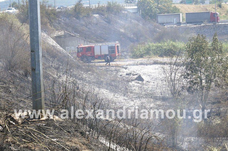http://alexandriamou.gr/images/fotia_kombos_nhseli/_DSC3587.jpg
