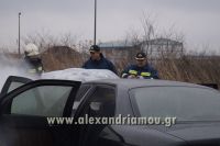 alexandriamou_fotia_koryfh0028