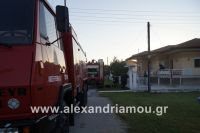 alexandriamou_fotia_loytros0015