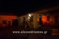 alexandriamou_fotia_neoxoropoulo0014