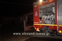 alexandriamou_fotia_neoxoropoulo0018