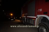 alexandriamou_fotia_neoxoropoulo0021