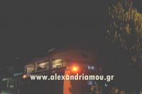 alexandriamou_fotia_papagpu0004