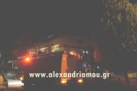 alexandriamou_fotia_papagpu0005