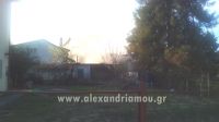 _alexandriamou_fotia00111