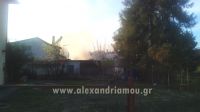 _alexandriamou_fotia00112