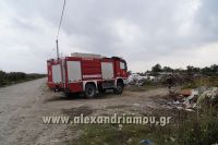 alexandriamou_fotia_sma0011