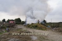 alexandriamou_fotia_sma0022