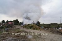 alexandriamou_fotia_sma0024