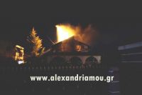 alexandriamou_fotia_palioxori0021