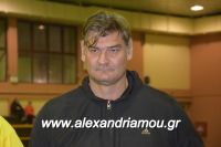 alexandriamou_gas_pasket030014