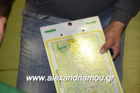 alexandriamou_gas_pasket030015