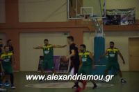 alexandriamou_gas_pasket030028