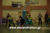 alexandriamou_gas_pasket030032