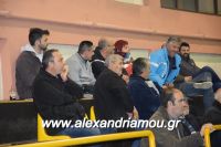 alexandriamou_gas_pasket030033