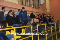 alexandriamou_gas_pasket030034