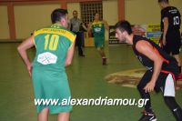 alexandriamou_gas_pasket030036