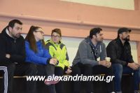 alexandriamou_gas_pasket030040