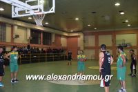 alexandriamou_gas_pasket030043